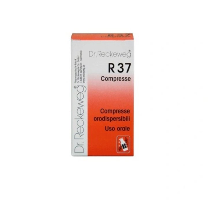 Reckweg Imo R37 100 Compresse Reckweg Imo R37 100 Compresse