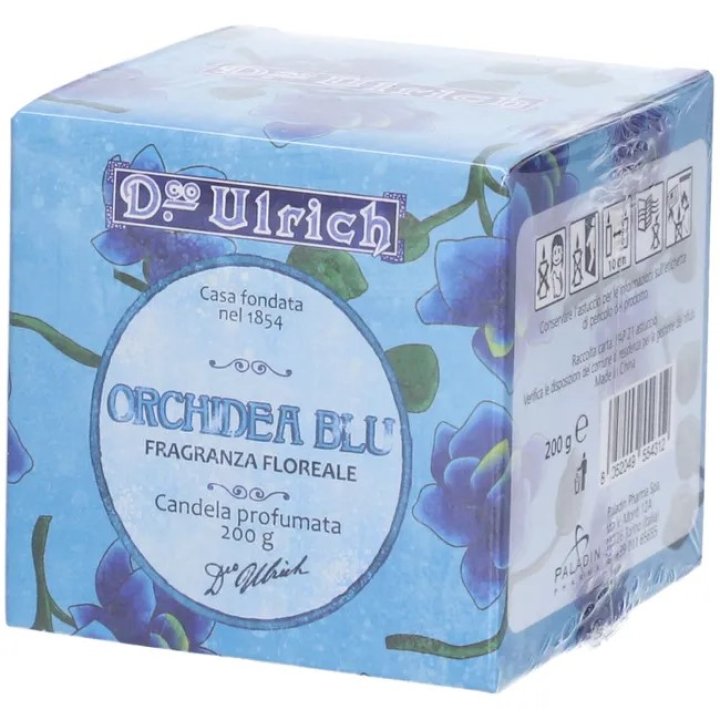 Ulrich candela orchidea blu