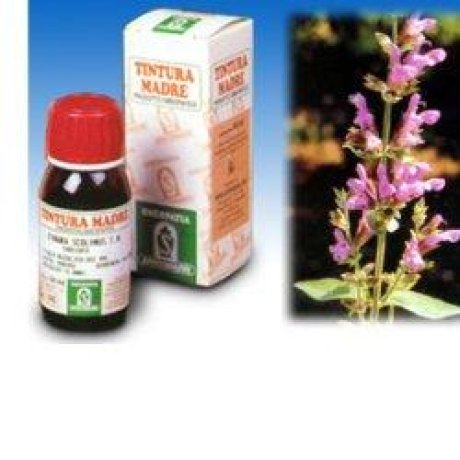 SP.SALVIA OFF.TM  50ml