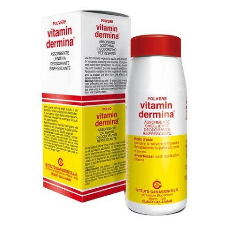 VITAMINDERMINA POLVERE 100 G