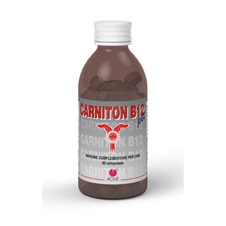 CARNITON B12 Pet 80 Cpr x Cani