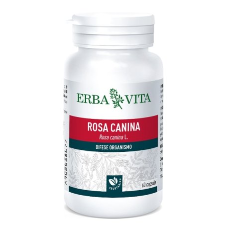 ROSA CANINA 60CPS 400MG EBV <