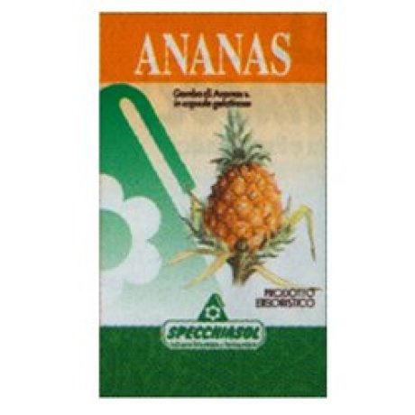 ANANAS Gambo  80 Cps      SPEC