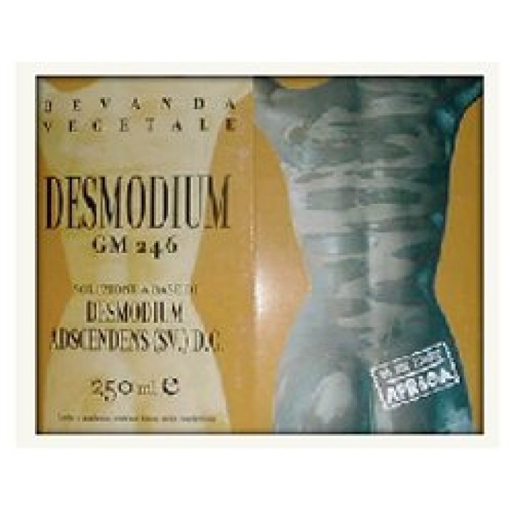 DESMODIUM GM246 Gtt 250ml