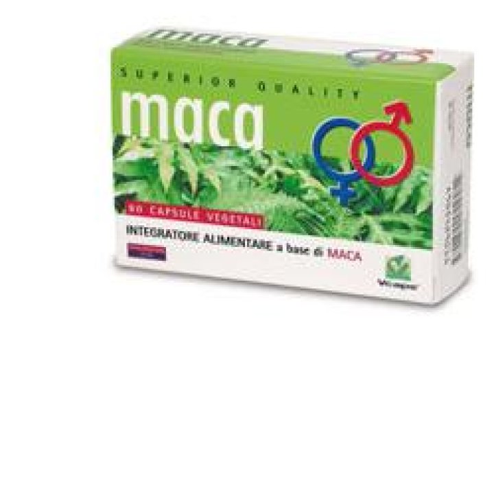 MACA 60 Cps VFI