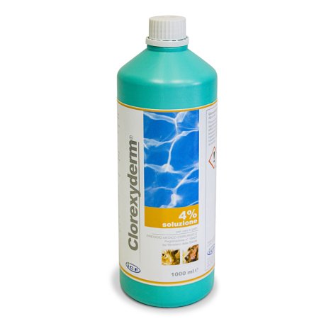 CLOREXYDERM*Soluz.4% 1000ml