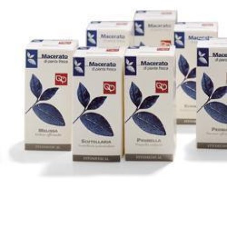 SCUTELLARIA 50ML TM FTM