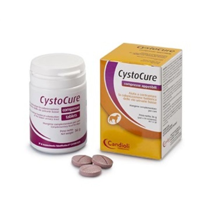 CYSTOCURE Forte 30 Cpr