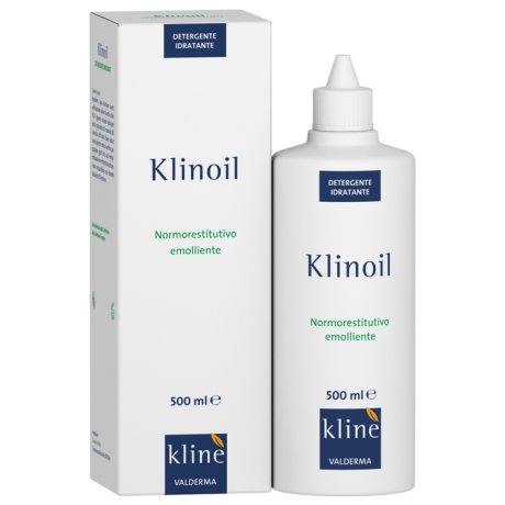 KLINOIL Det.500ml