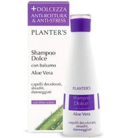 PLANTERS Sh.Dolce Aloe Vera