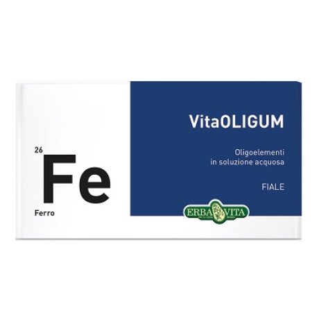 VITAOLIGUM FERRO 20f.      EBV