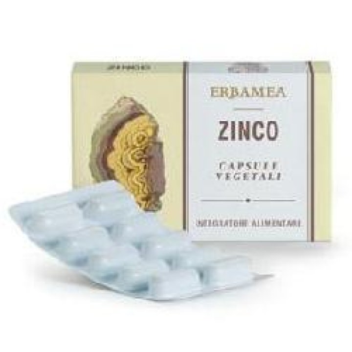 ZINCO 24 Cps Veg.EBM