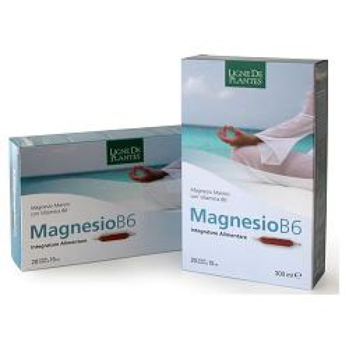 MAGNESIO B6 20AB 15ML