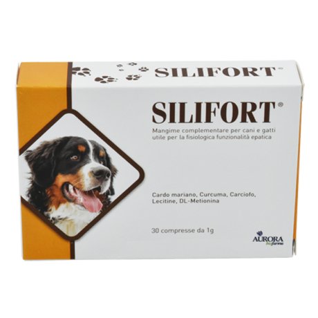 SILIFORT 30 Cpr 1g