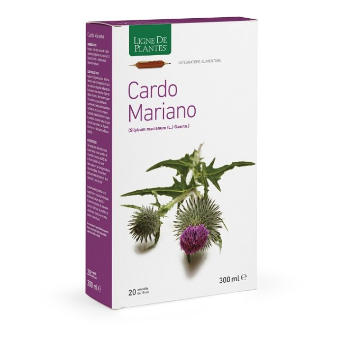 CARDO MARIANO 20AB 15ML<