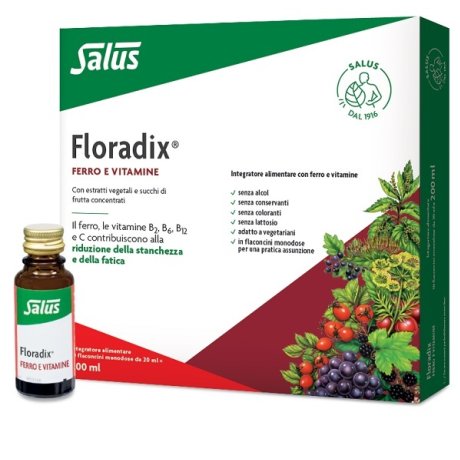 FLORADIX Ferro 10fl.20ml