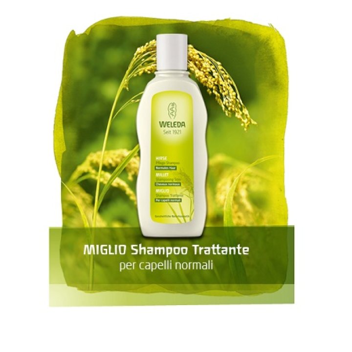 WELEDA Miglio Sh.Tratt.190ml