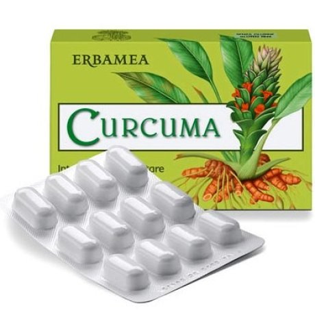 CURCUMA 24 Cps Veg.EBM