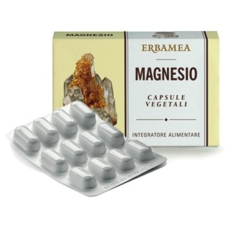 MAGNESIO 24 Cps 1200mg EBM