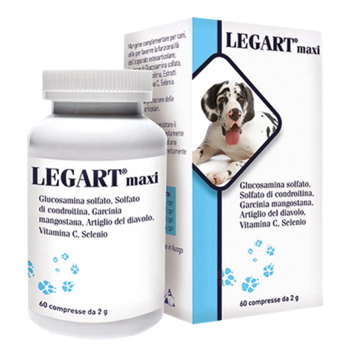 LEGART Maxi 60 Cpr 2g