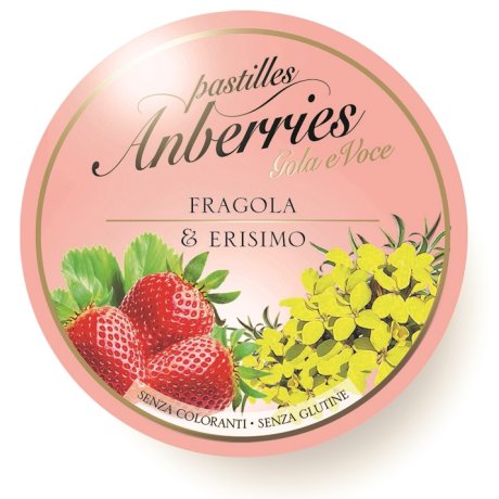 ANBERRIES Past.Fragola-Erisimo