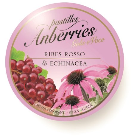 ANBERRIES Past.Ribes-Echinacea