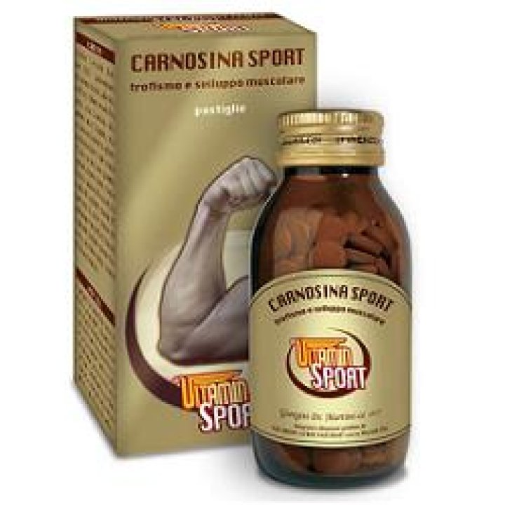 CARNOSINA Sport Vit.Past.90g