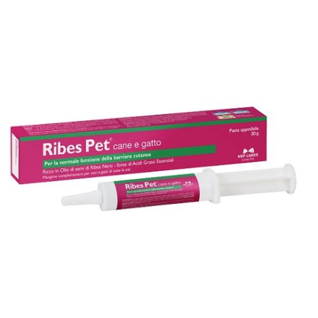 RIBES PET Pasta 30g