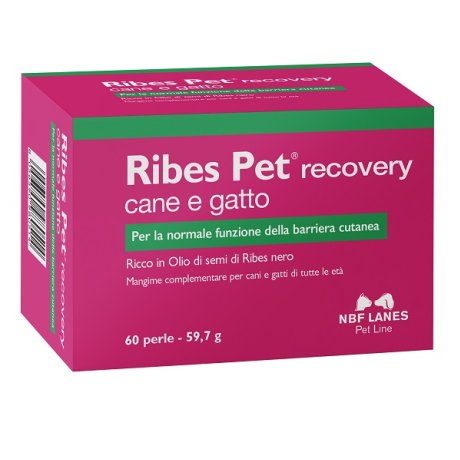 RIBES PET Recovery 60 Perle