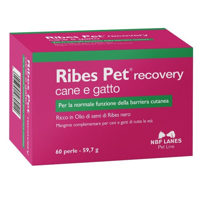 RIBES PET Recovery 60 Perle