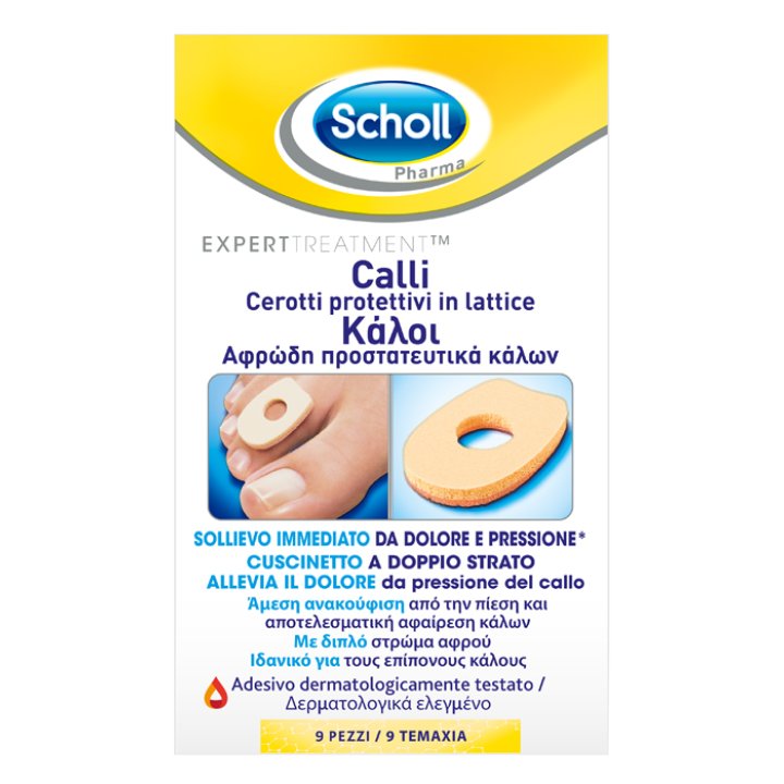 SCHOLL Cer.Pr.Latt.Calli Scudo