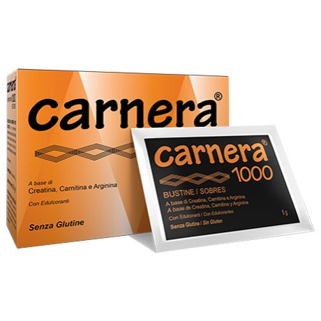 Carnera 1000 18bust