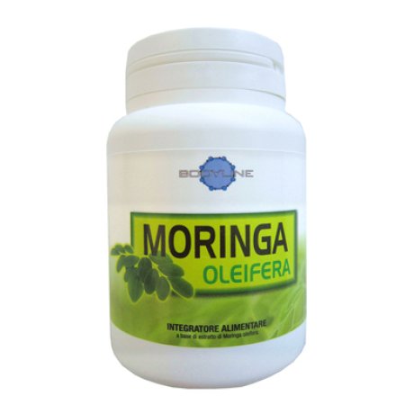 MORINGA OLEIFERA 60 Cps