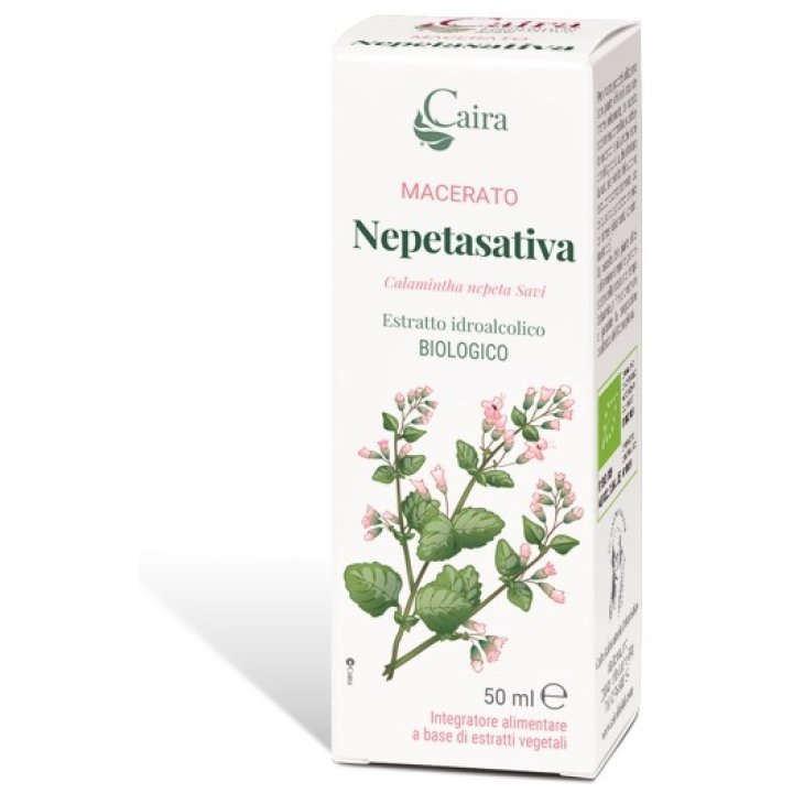 CAIRA NEPETASATIVA Macerato