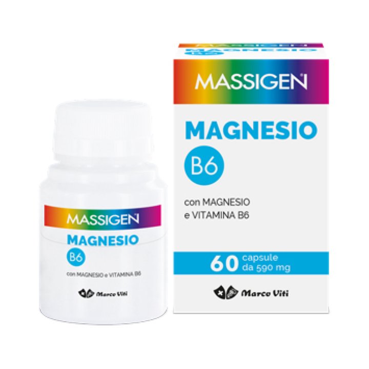 MASSIGEN MG B6 60 Cps