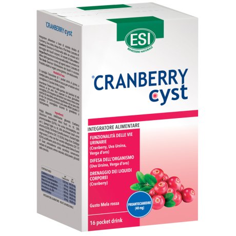 CRANBERRY CYST Pock.16Bust.ESI