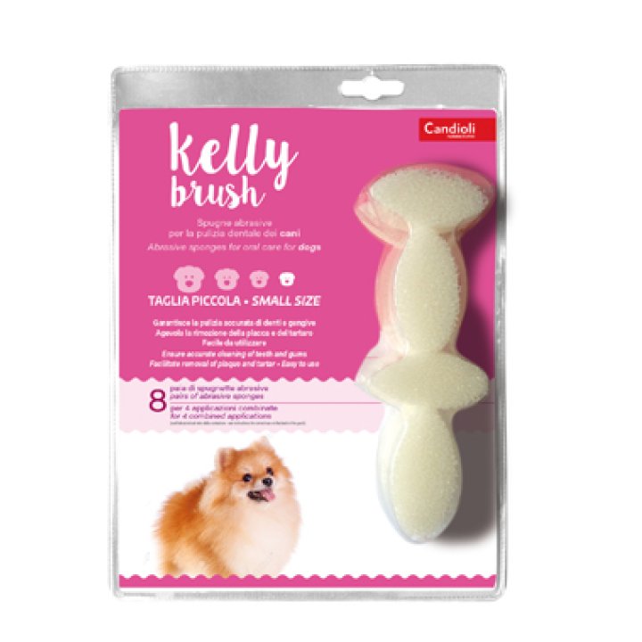 KELLY BRUSH Spugnetta Pic.16pz