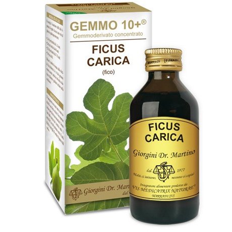 FICUS CARICA Gemmo 10+100ml