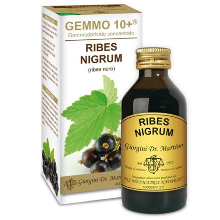 RIBES Nero Gemme 10+100ml GMG