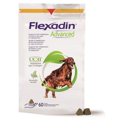 FLEXADIN Advanced Cani 60 Tav.