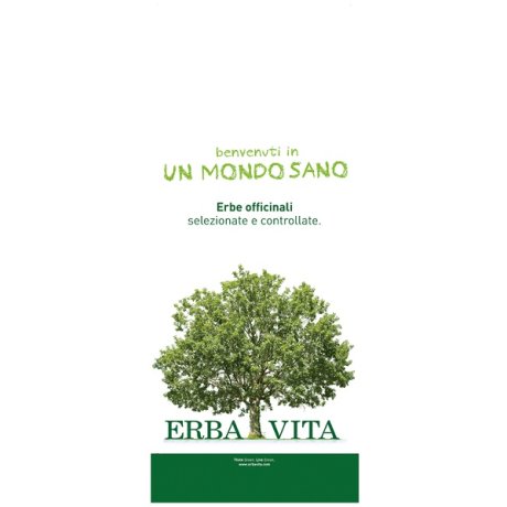 ARGILLA Verde S-Vent.300g  EBV