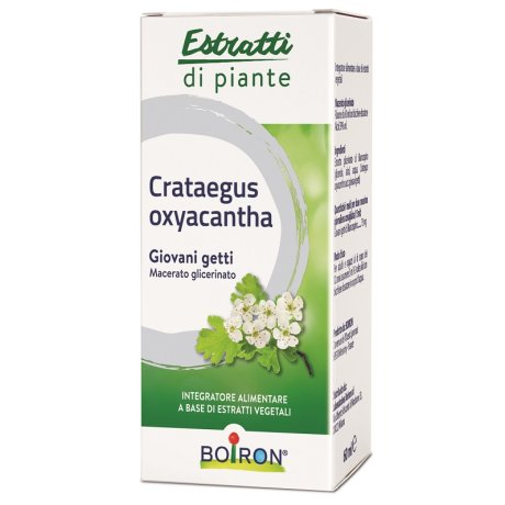 BO.CRATAEGUS OX.1DH MG  60ml