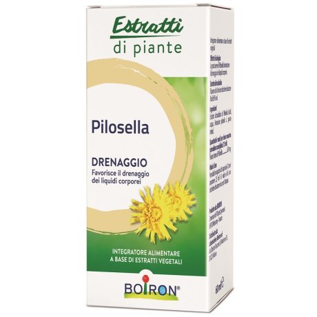 BO.PILOSELLA EI 60ml