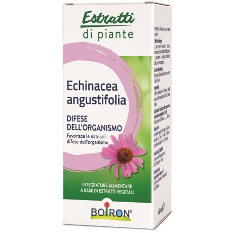 BO.ECHINACEA ANG.ES I 60ml