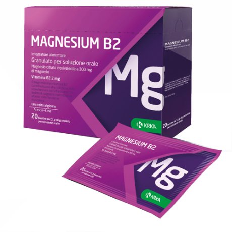 MAGNESIUM B2 300/2mg 20BustKRK