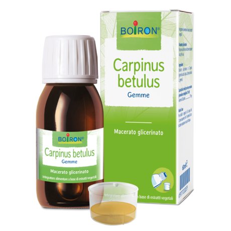 CARPINUS BETULUS MG 60ML INT BO