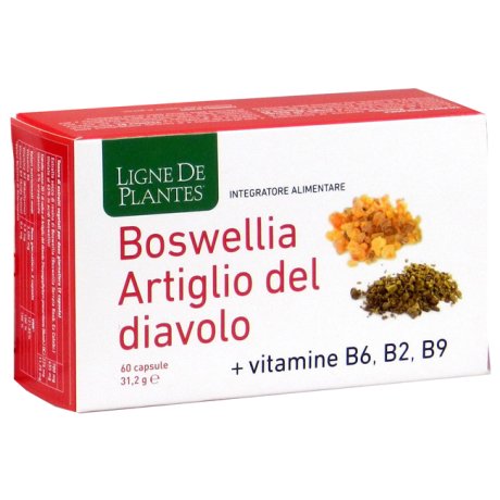 BOSWELLIA Art.Diavolo 60CpsNSE