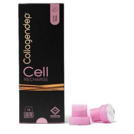 COLLAGENDEP CELL RECHARGE 12DR