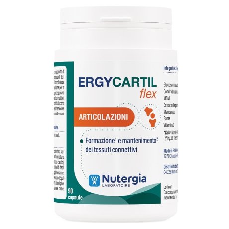 ERGYCARTIL Flex 90 Cps