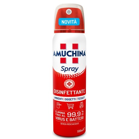 Amuchina Spray Amb/ogg/te100ml